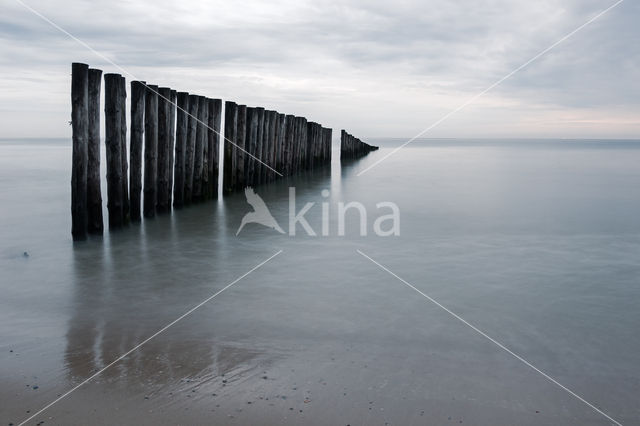 Noordzee