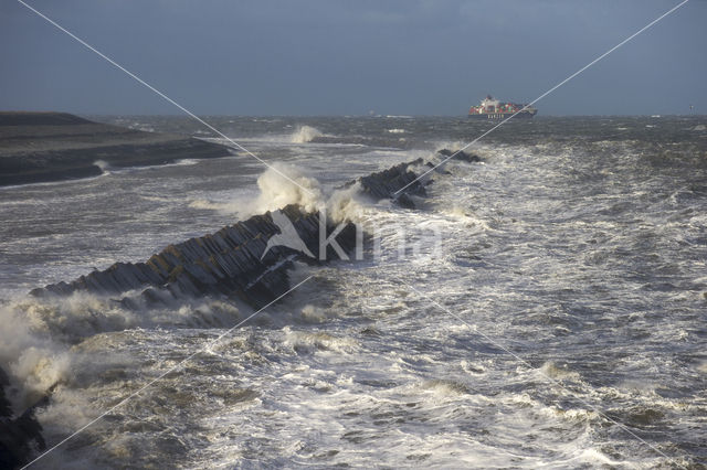 Tweede Maasvlakte