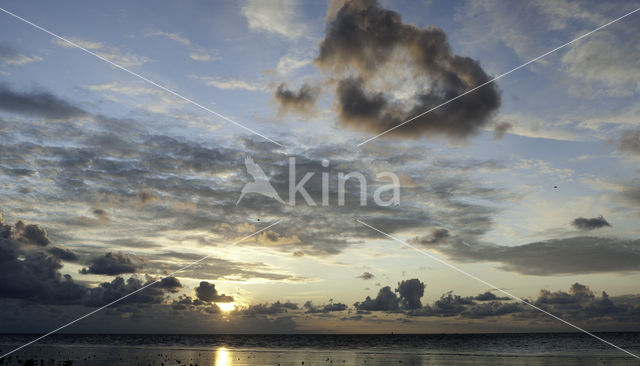 Ameland