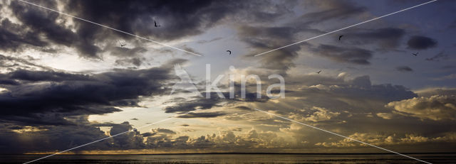 Ameland