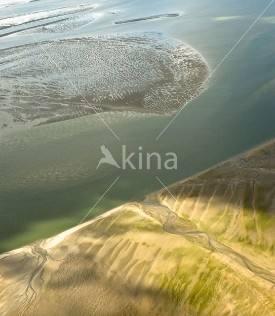 Ameland