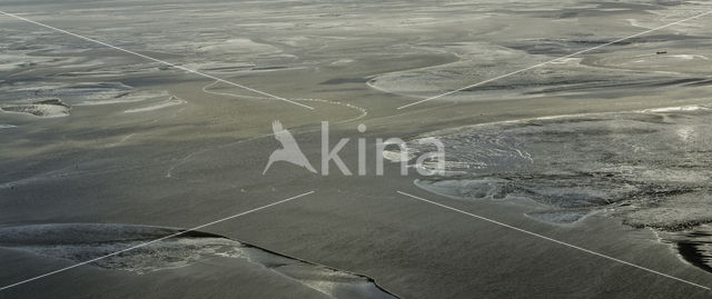 Ameland