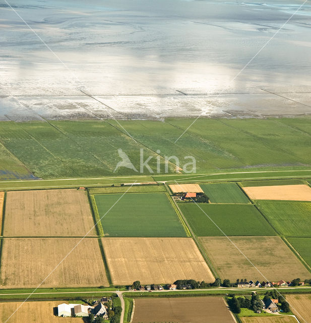 Ameland