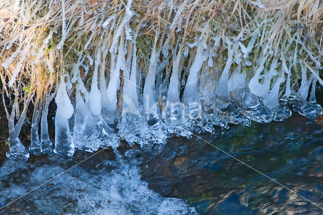 brook