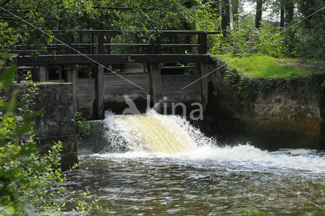 Landgoed Singraven