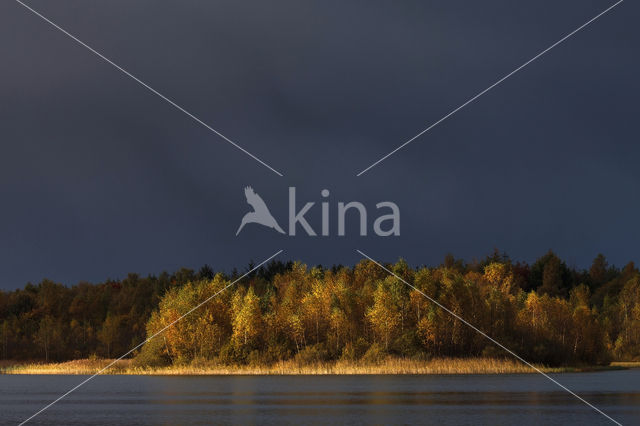 National Park Drents-Friese Wold