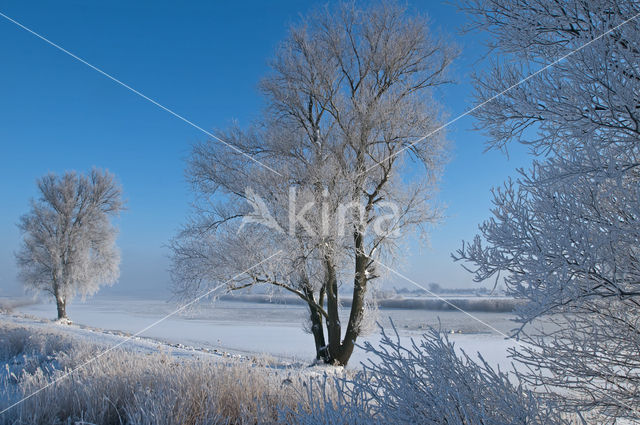 Nationaal Park Weerribben-Wieden