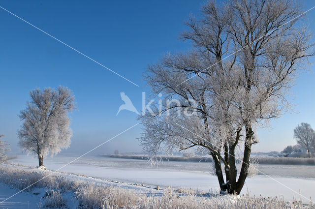 National Park Weerribben-Wieden