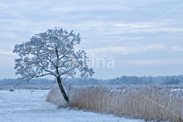 Nationaal Park Weerribben-Wieden