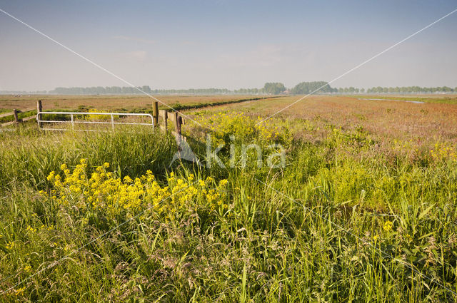 Polder Zeevang