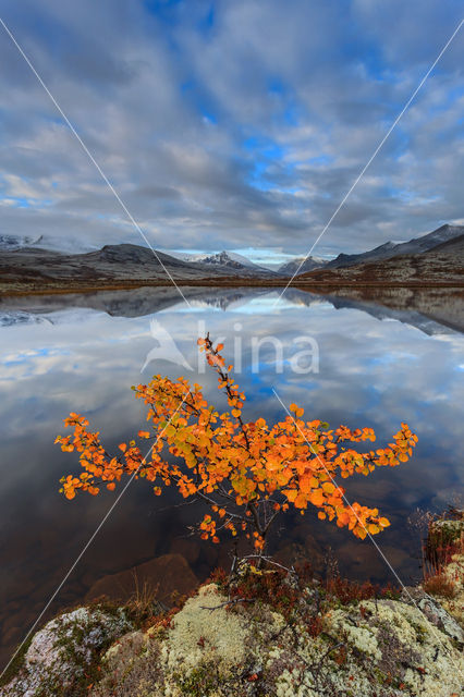 Rondane National Park