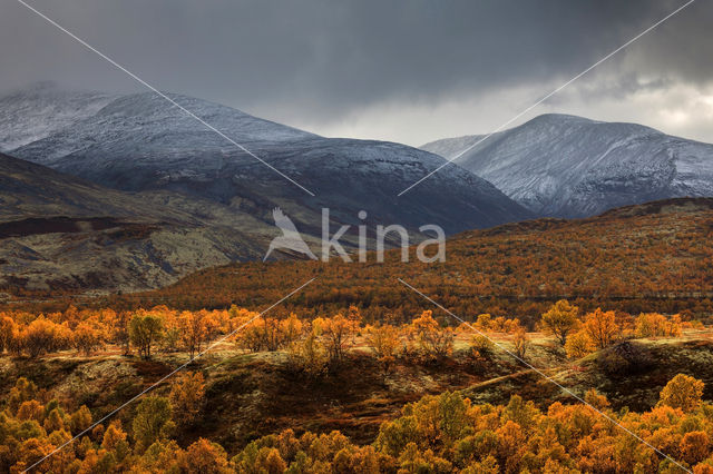 Rondane National Park