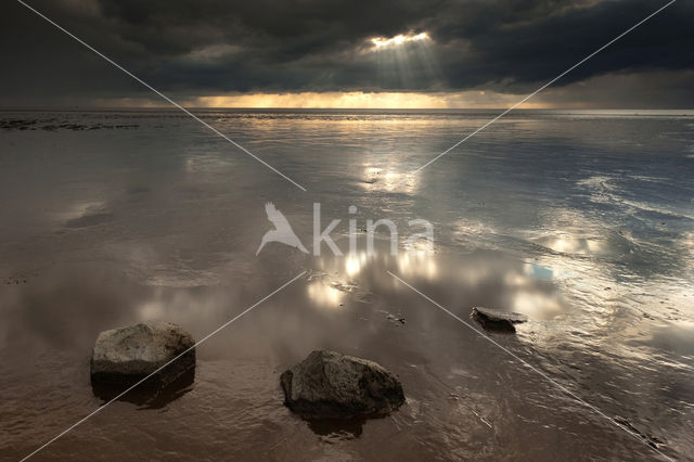 Waddenkust