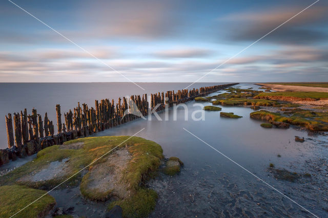 Waddenzee