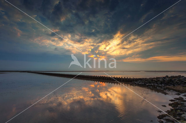 Waddenzee