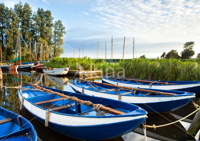 Krommenieërwoudpolder