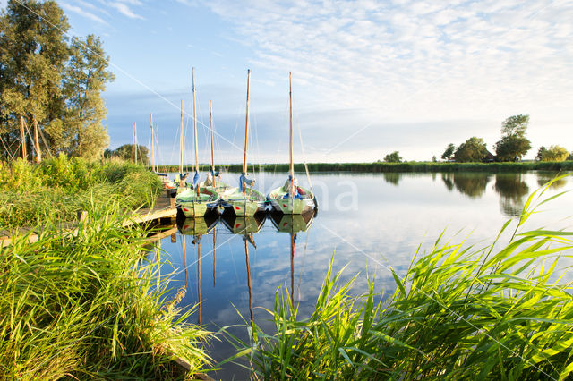 Krommenieërwoudpolder