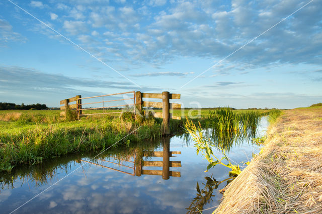 Krommenieërwoudpolder