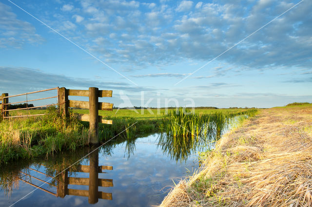 Krommenieërwoudpolder