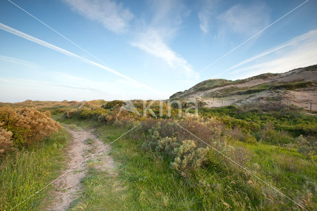 Noordhollands Duinreservaat