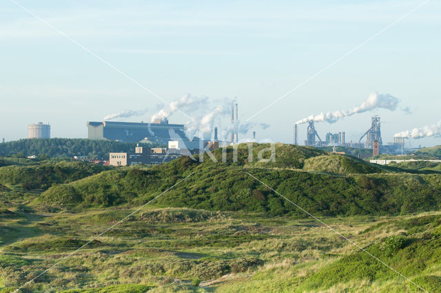 Noordhollands Duinreservaat