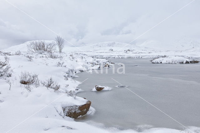 Rannoch Moor