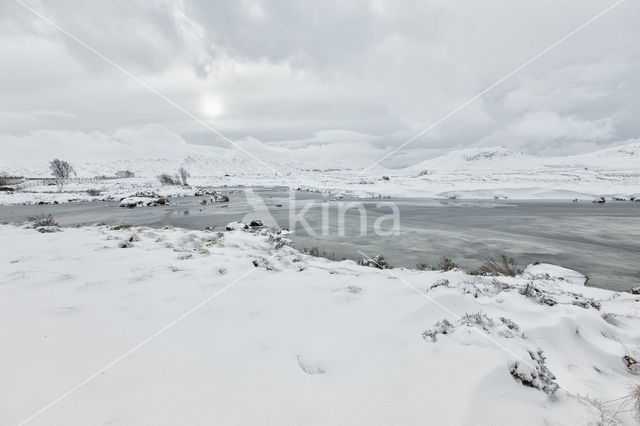 Rannoch Moor