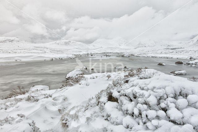 Rannoch Moor