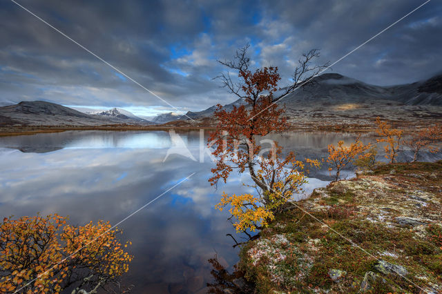 Rondane National Park