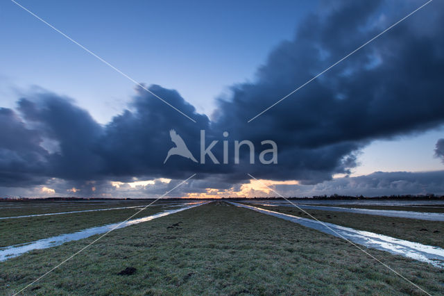 Uitgeesterbroekpolder