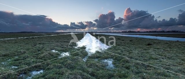 Uitgeesterbroekpolder