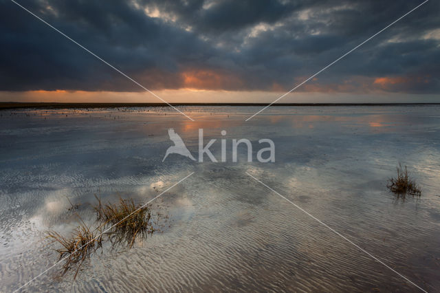 Waddenzee