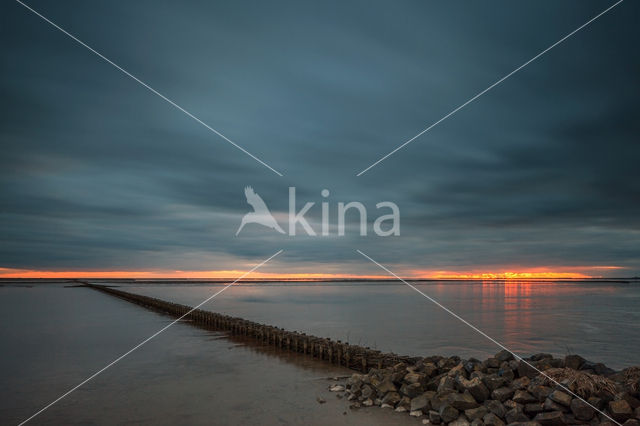 Waddenzee