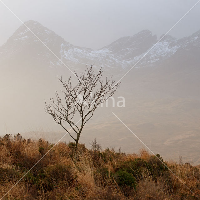 Cuillin Hills