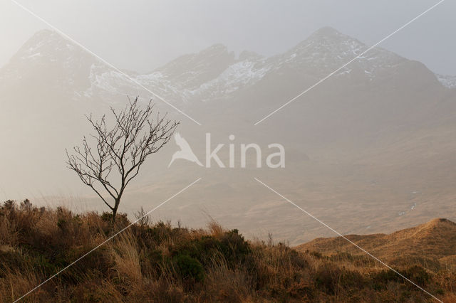 Cuillin Hills