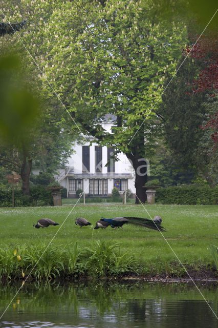 Landgoed De Tempel