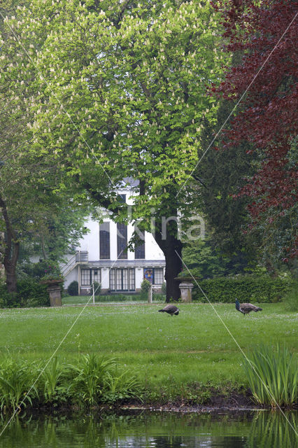 Estate De Tempel