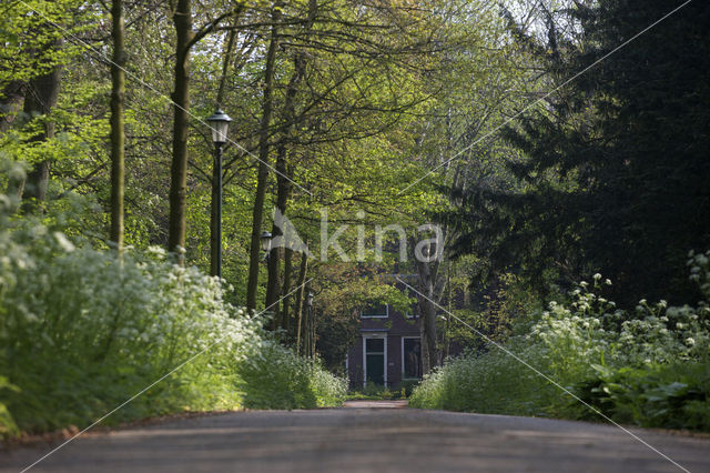 Landgoed De Tempel