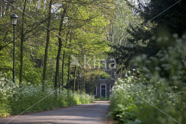 Landgoed De Tempel