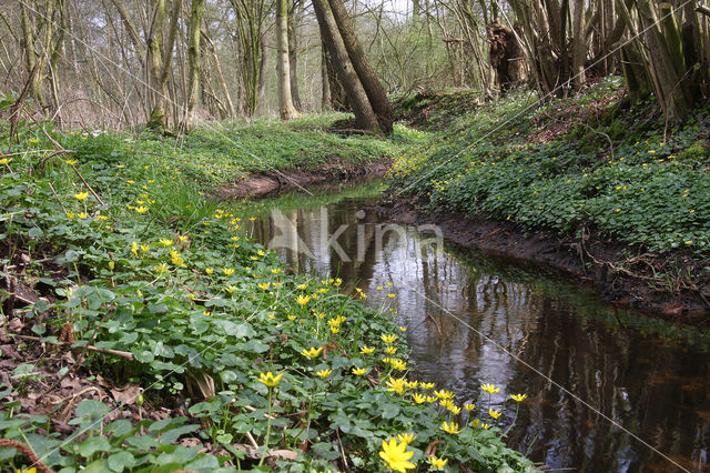 Rossumermeeden