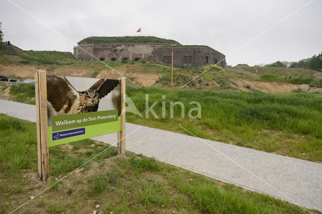 Sint Pietersberg