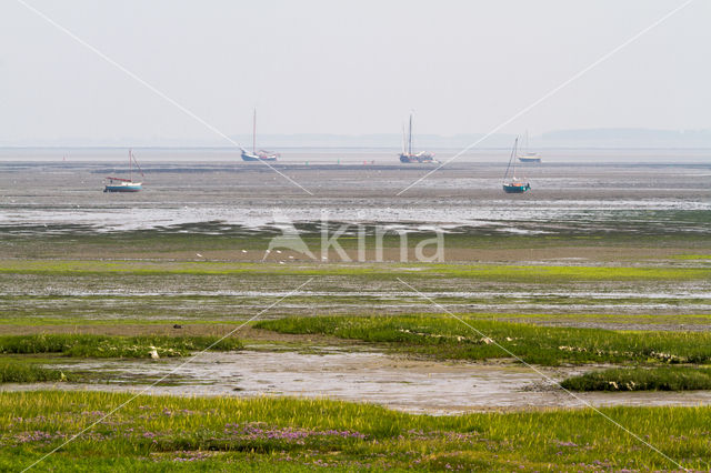 National Park Schiermonnikoog