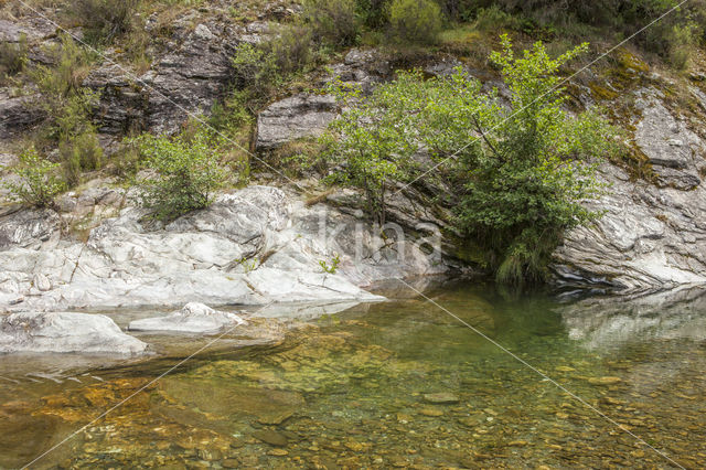 Parc national des Cévennes