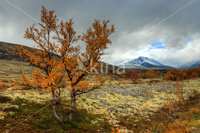 Rondane National Park