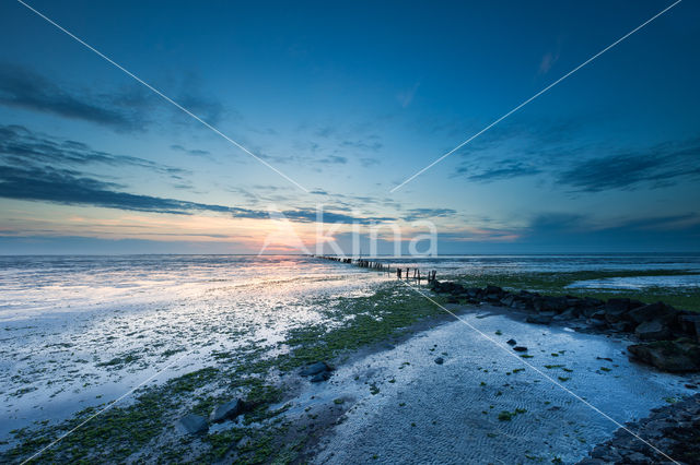 Waddenzee