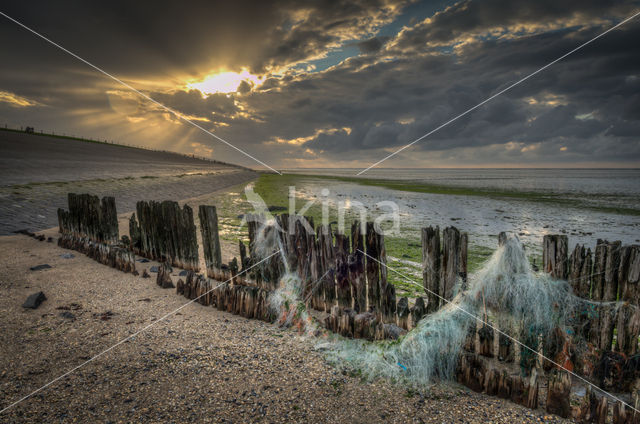 Waddenzee