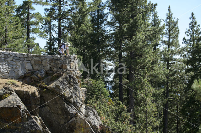 Yosemite National park