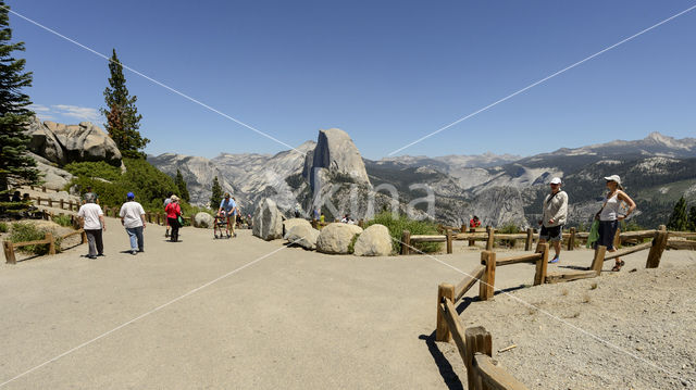 Yosemite National Park