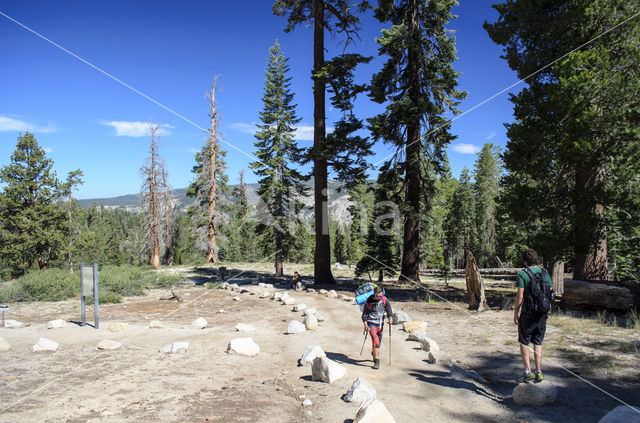 Yosemite National park