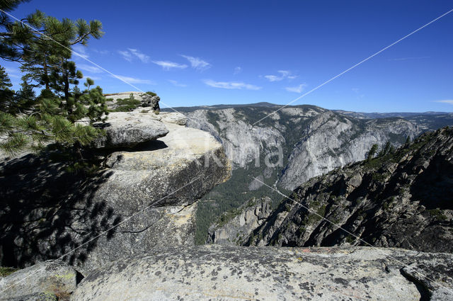 Yosemite National park